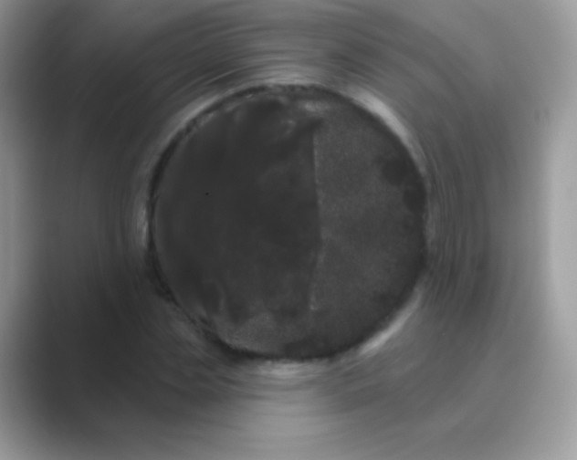 X0000089760829200707051831