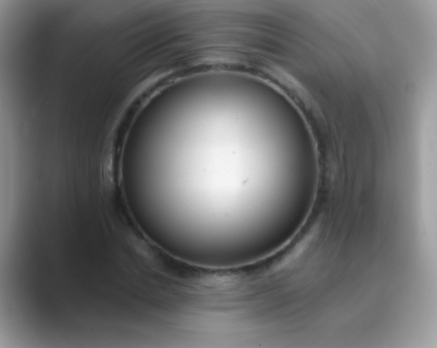 X0000089760830200707051831