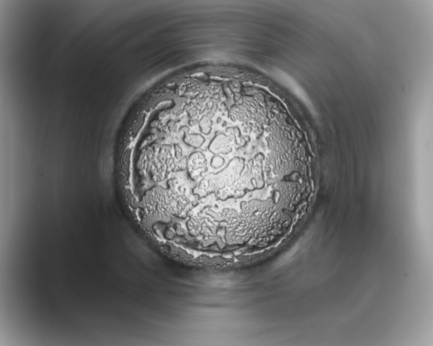 X0000089760831200707051831