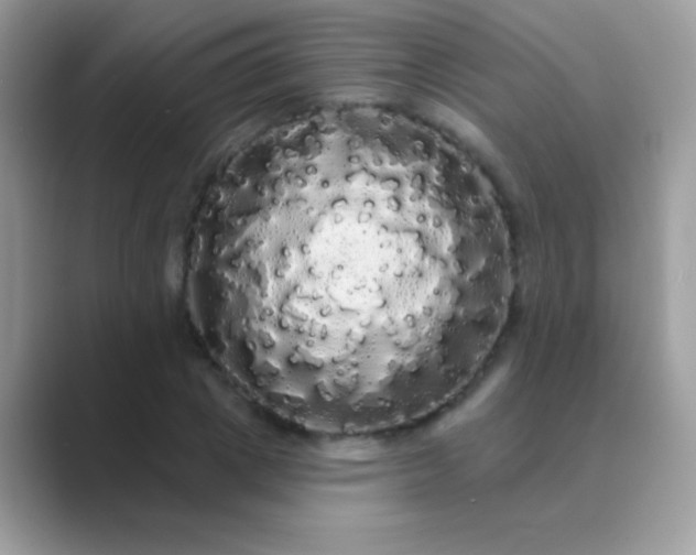 X0000089760833200707051832