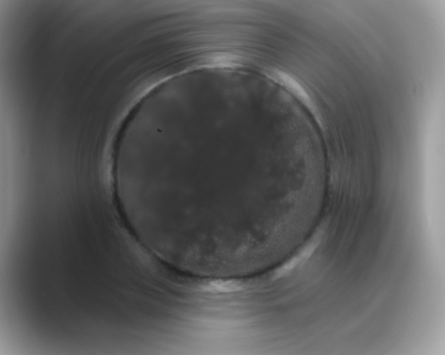 X0000089760835200707051832