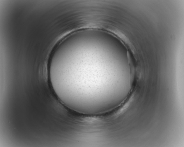 X0000089760838200707051832