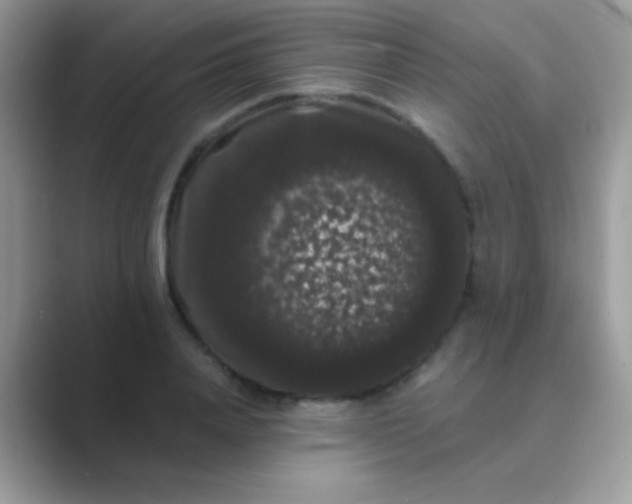 X0000089760840200707051832