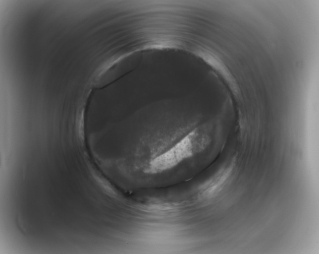 X0000089760842200707051832