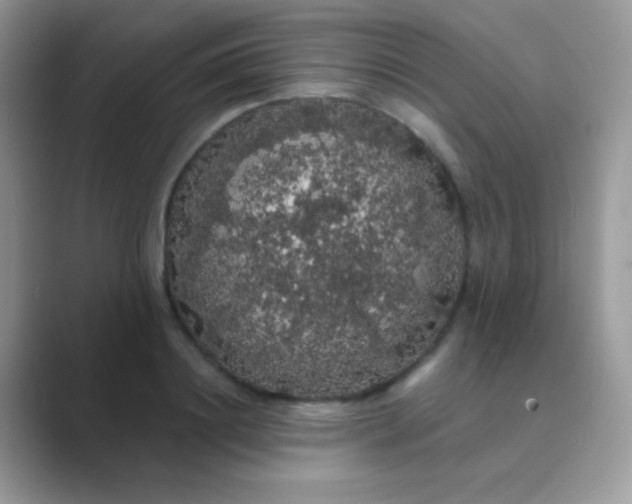 X0000089760844200707051832