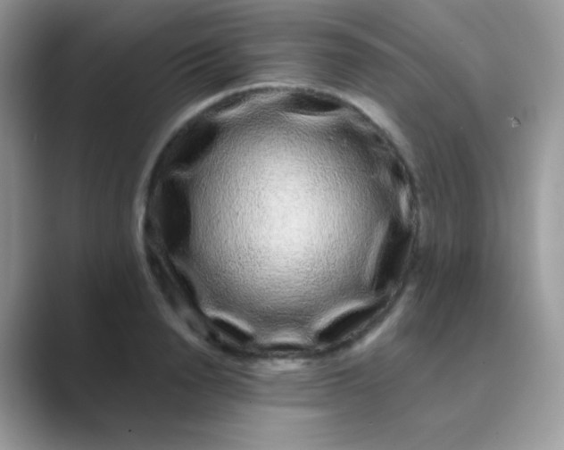 X0000089760846200707051832