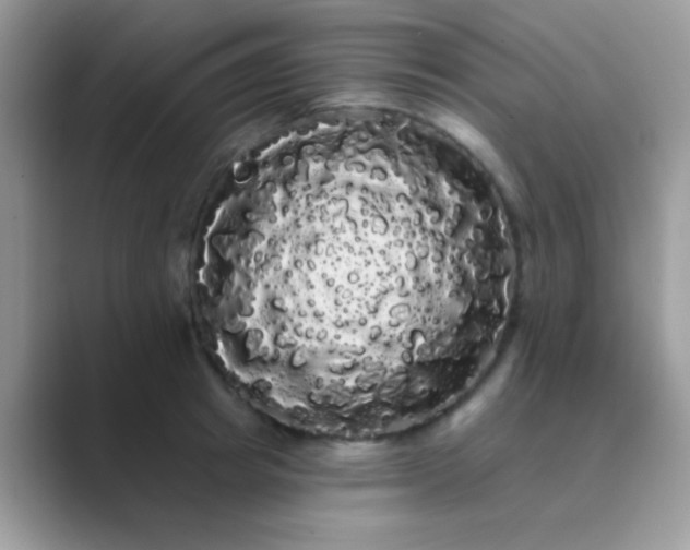 X0000089760849200707051832