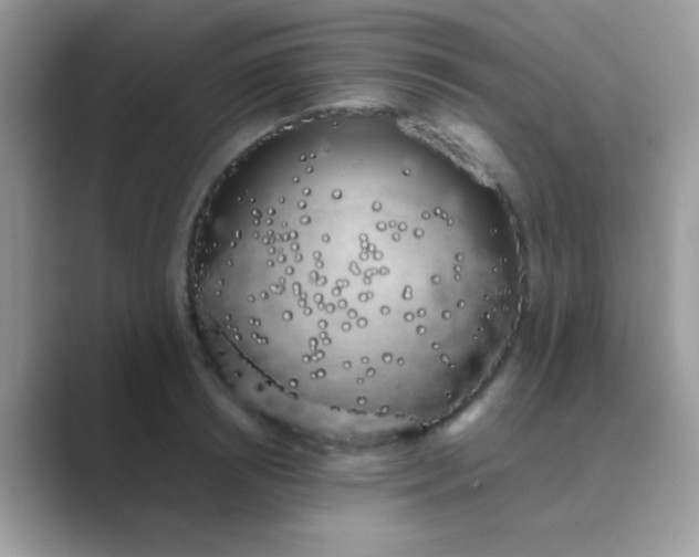 X0000089760850200707051832