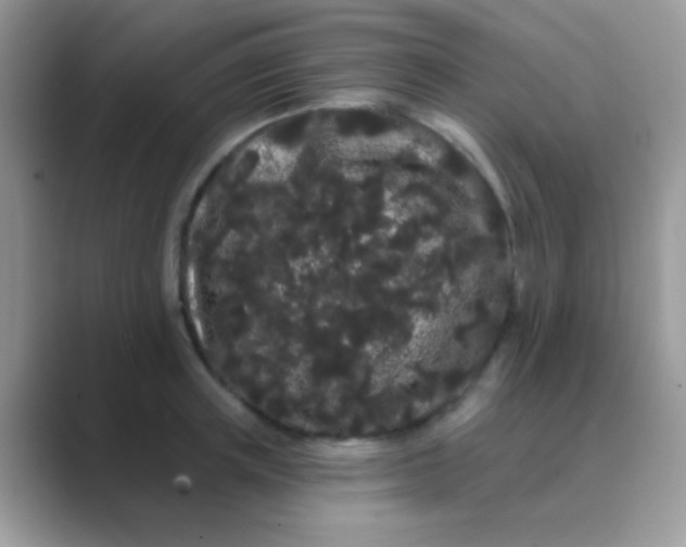 X0000089760851200707051832