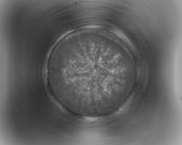 X0000089760852200707051832