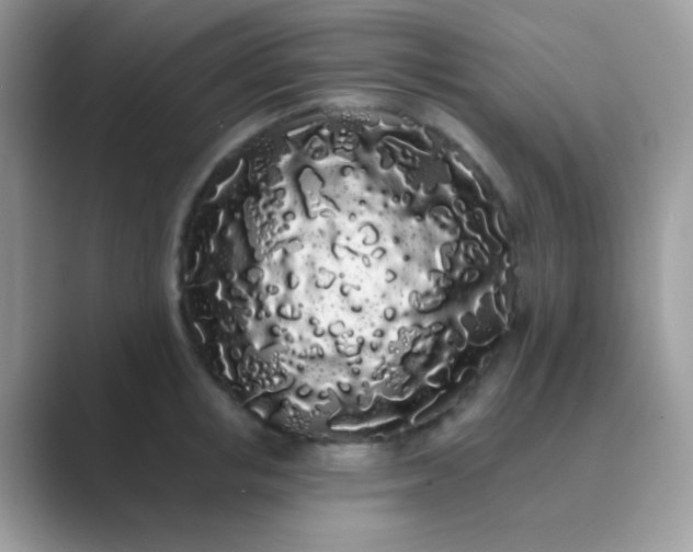 X0000089760853200707051832