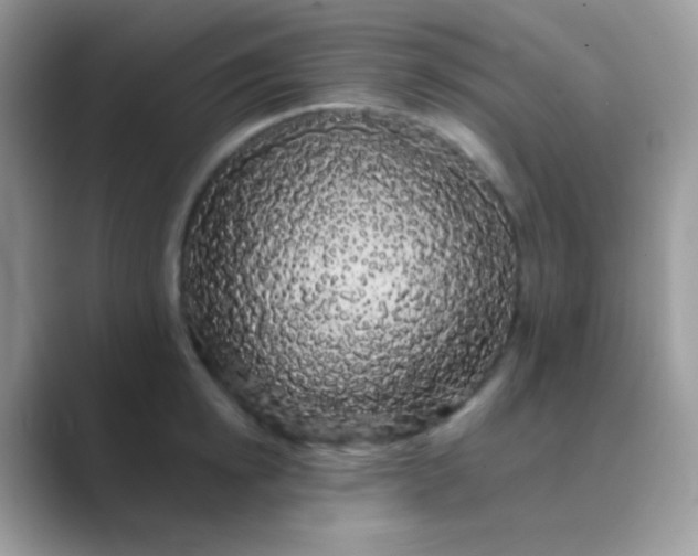 X0000089760854200707051832