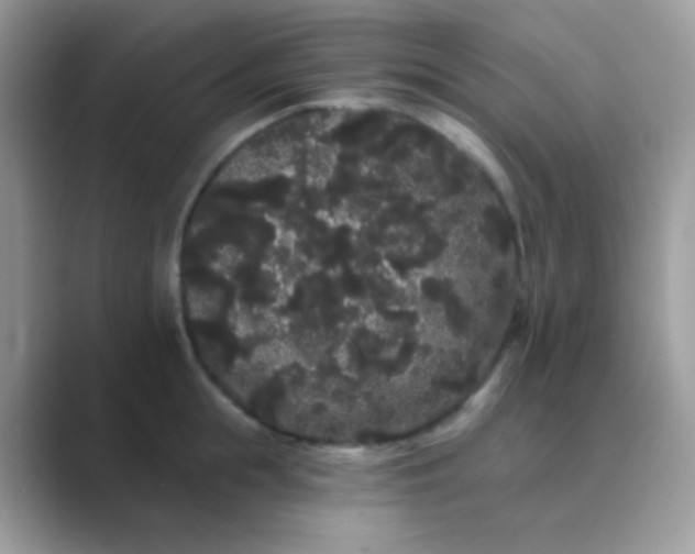 X0000089760855200707051832