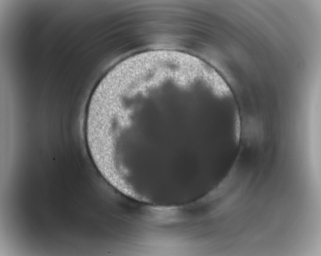 X0000089760856200707051832