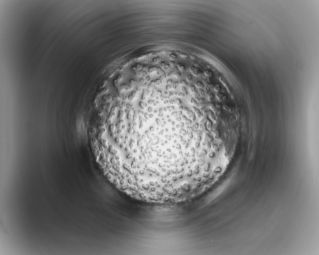 X0000089760857200707051832