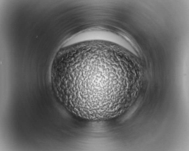 X0000089760858200707051832