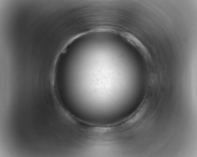 X0000089760860200707051832