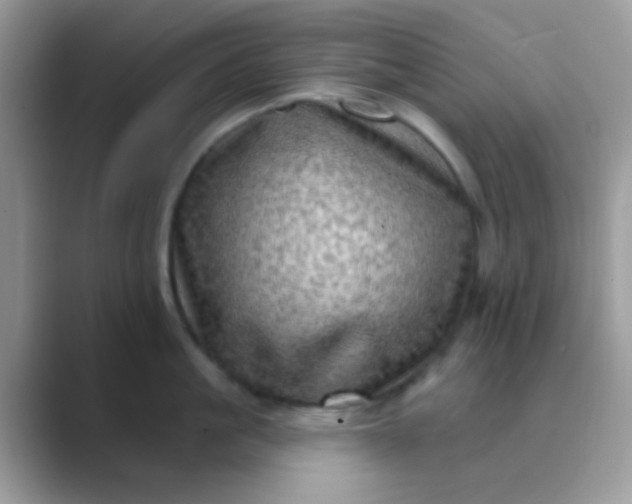 X0000089760861200707051832