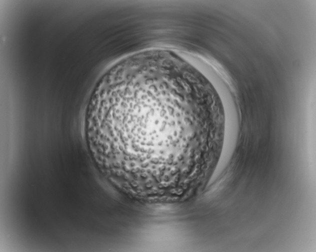 X0000089760862200707051832