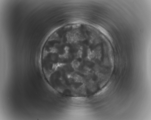 X0000089760863200707051832