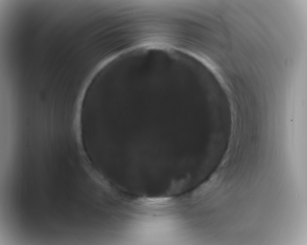 X0000089760864200707051832