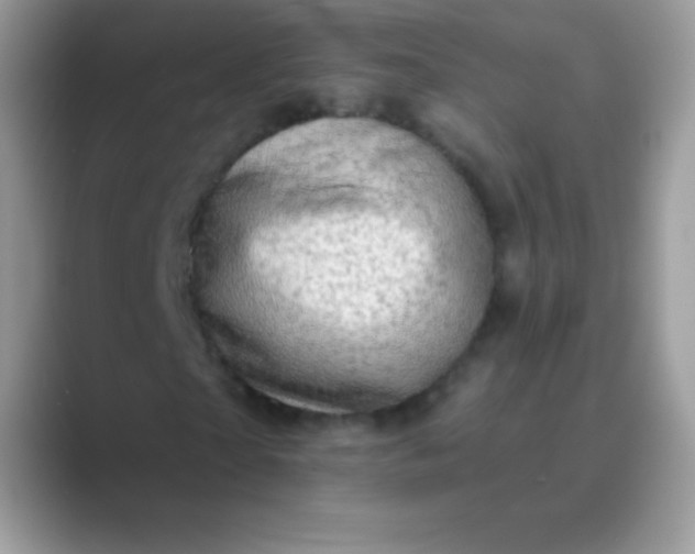 X0000089760865200707051831