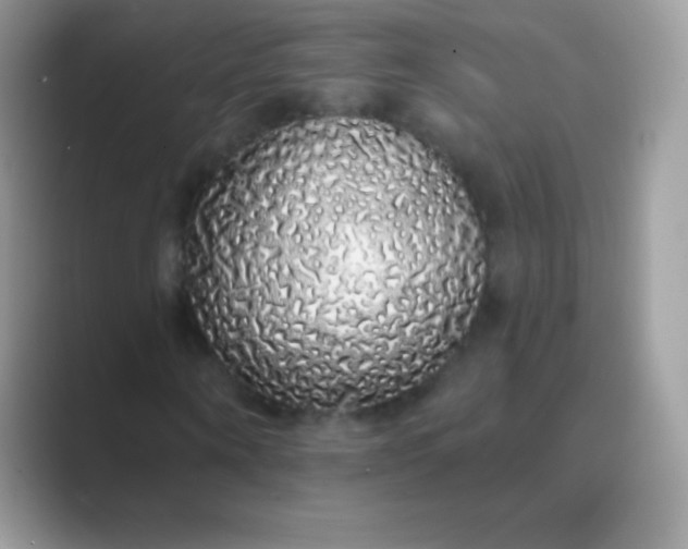 X0000089760866200707051831