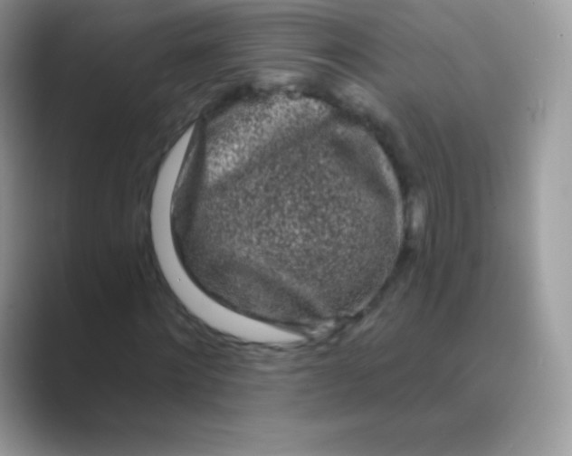 X0000089760868200707051831