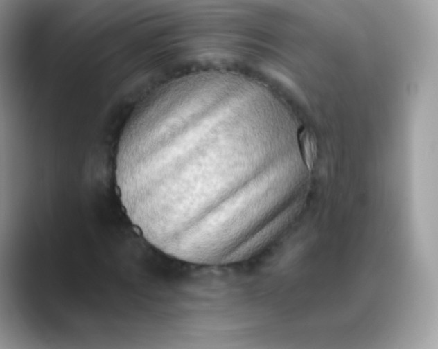 X0000089760869200707051831