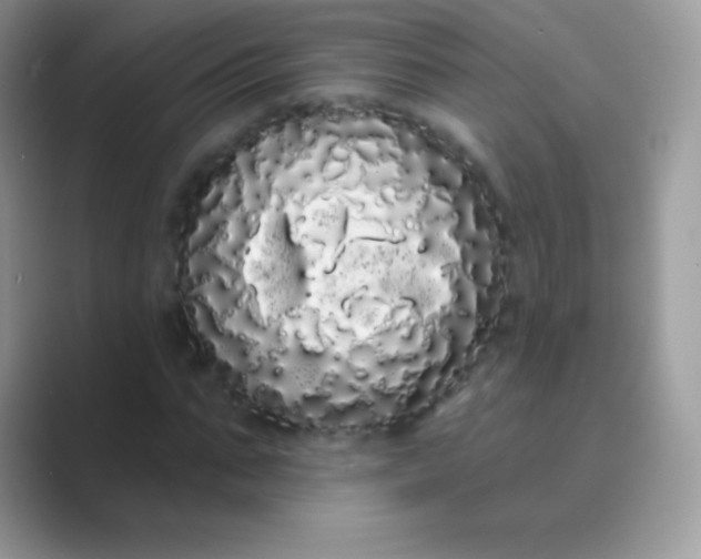 X0000089760871200707051831