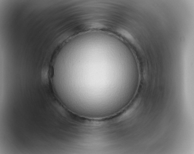 X0000089760873200707051831