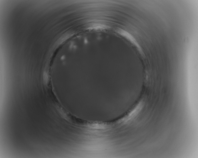 X0000089760874200707051831