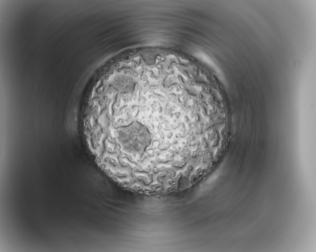 X0000089760875200707051831