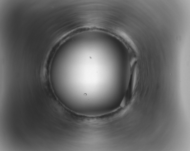 X0000089760876200707051831