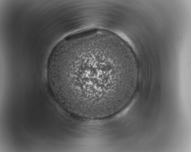 X0000089760877200707051831