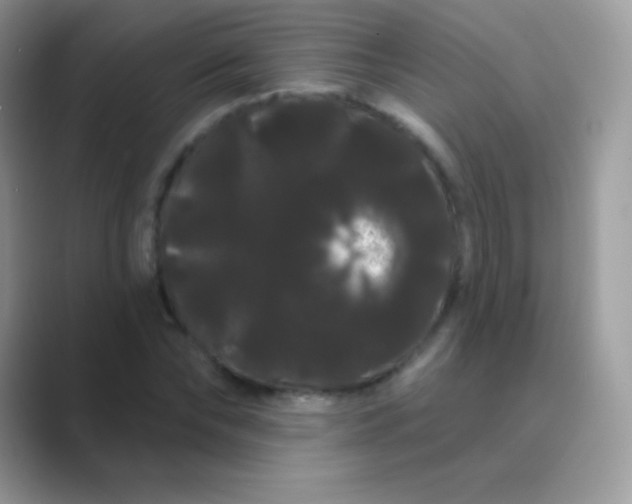 X0000089760878200707051831