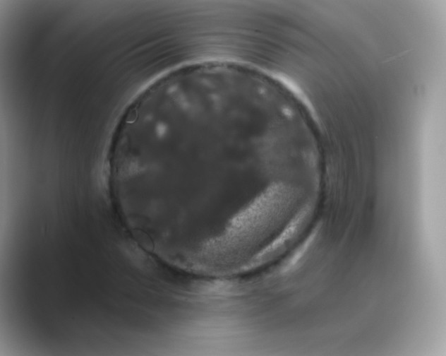 X0000089760879200707051831