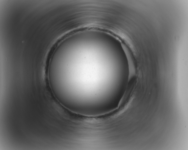 X0000089760880200707051831