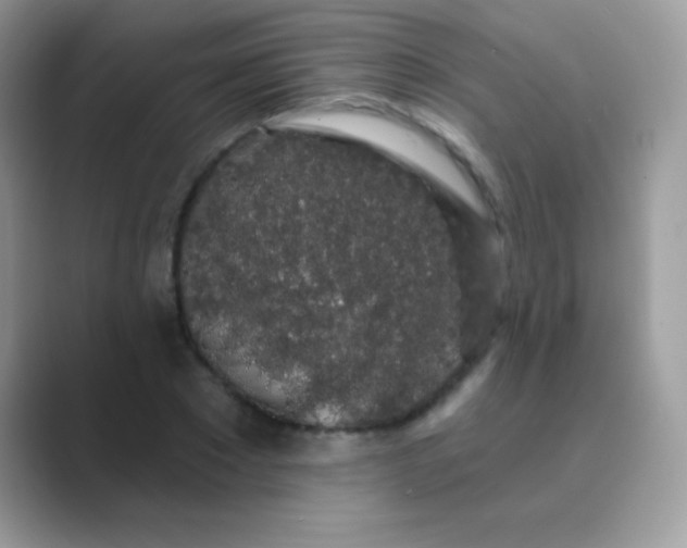 X0000089760881200707051831