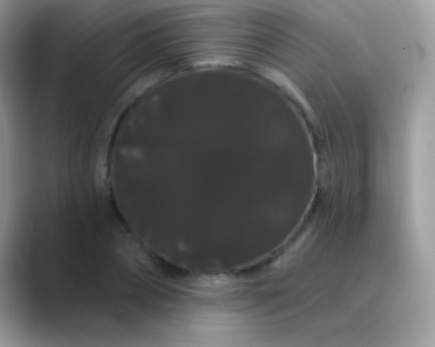 X0000089760882200707051831