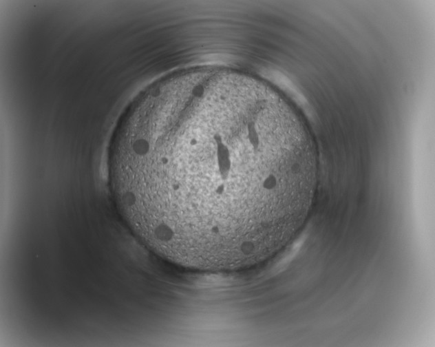 X0000089760883200707051831