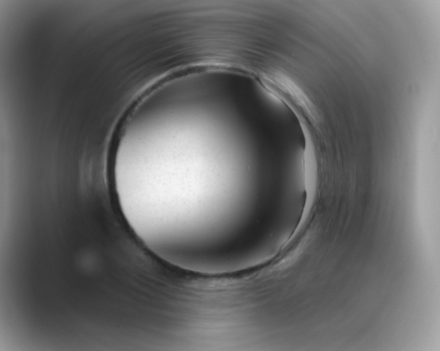 X0000089760884200707051831