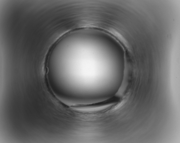 X0000089760885200707051831