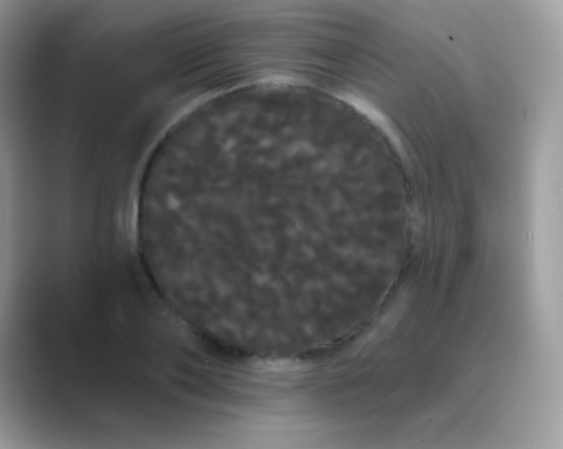 X0000089760886200707051831