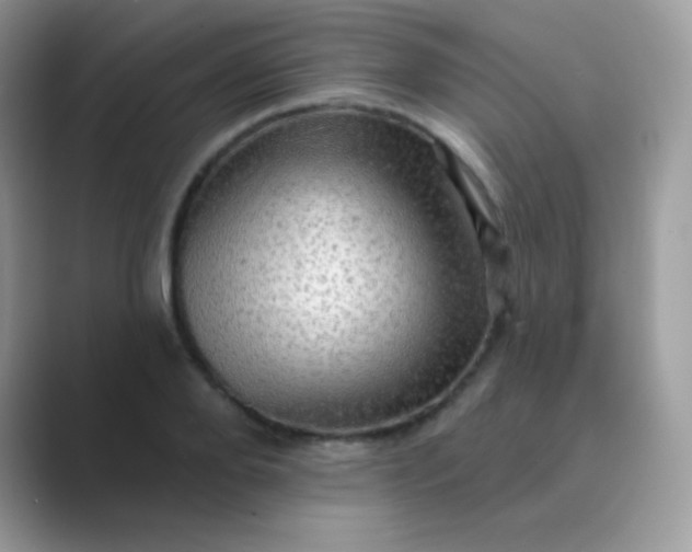 X0000089760888200707051831