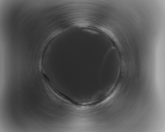 X0000089760889200707051831