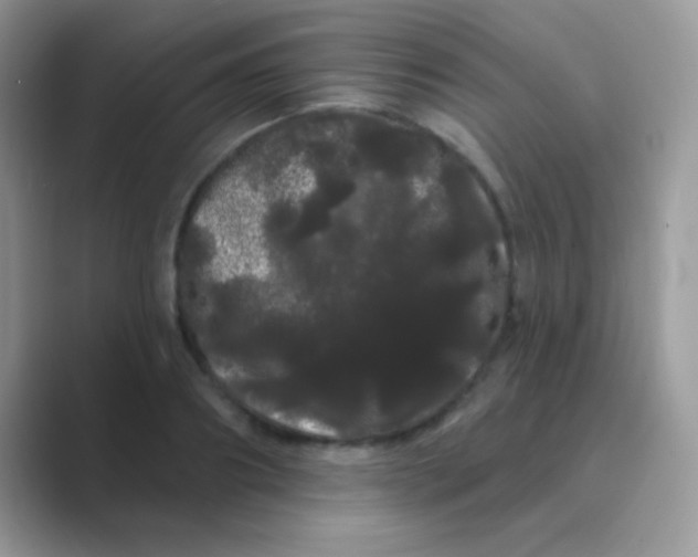 X0000089760890200707051831