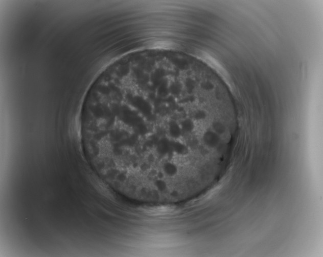 X0000089760891200707051831