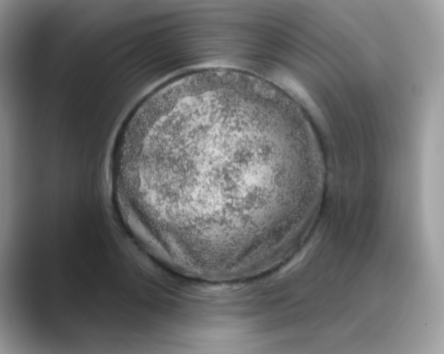 X0000089760892200707051831