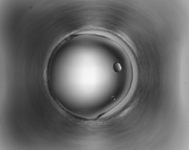 X0000089760893200707051831